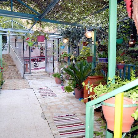 بيت الطبيعة Nature House Jarash Exterior photo