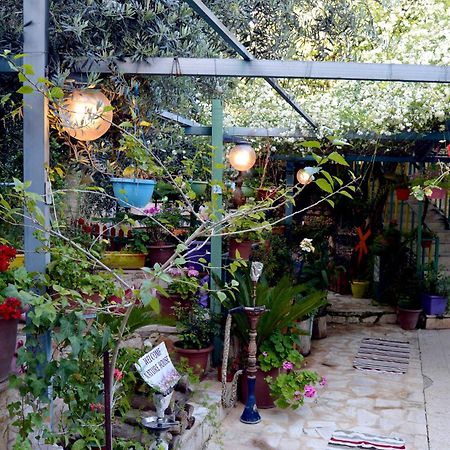 بيت الطبيعة Nature House Jarash Exterior photo