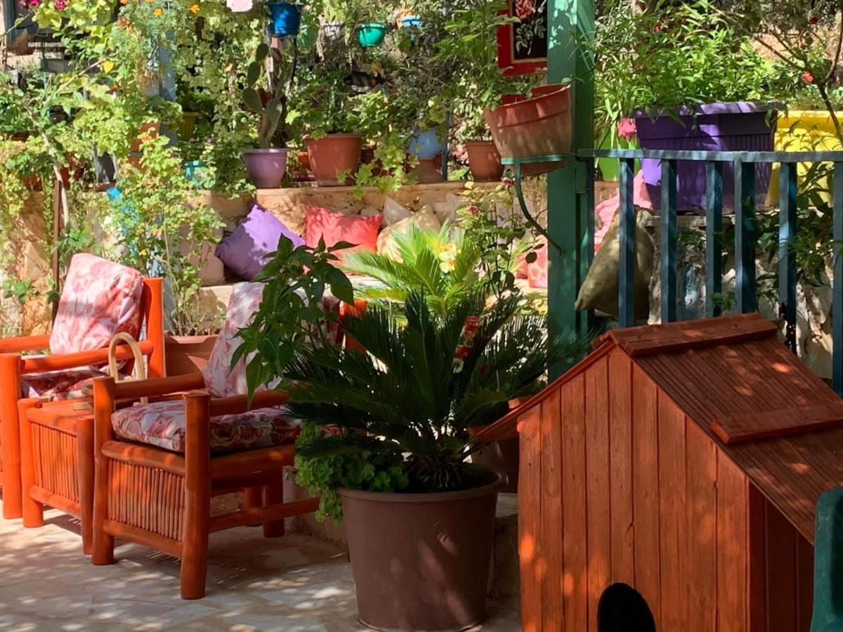 بيت الطبيعة Nature House Jarash Exterior photo