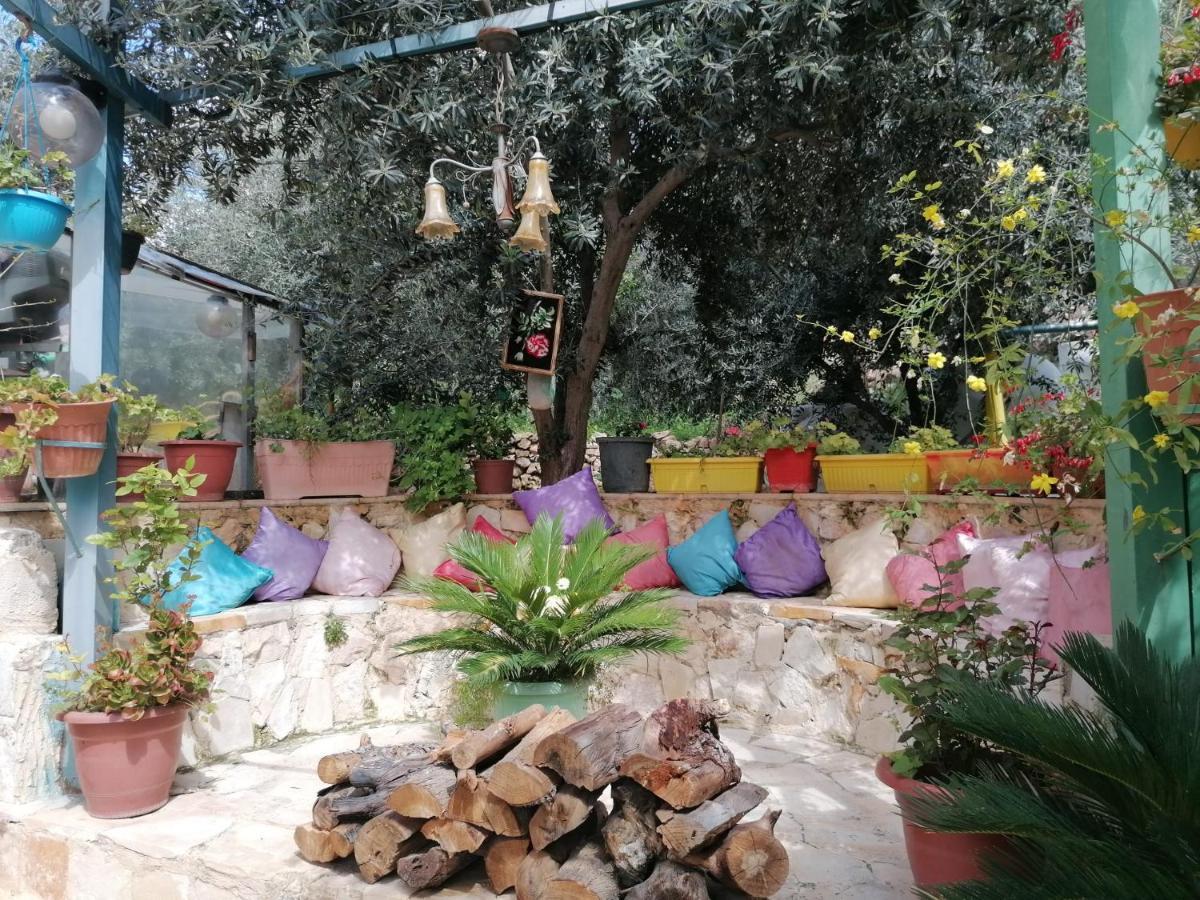 بيت الطبيعة Nature House Jarash Exterior photo