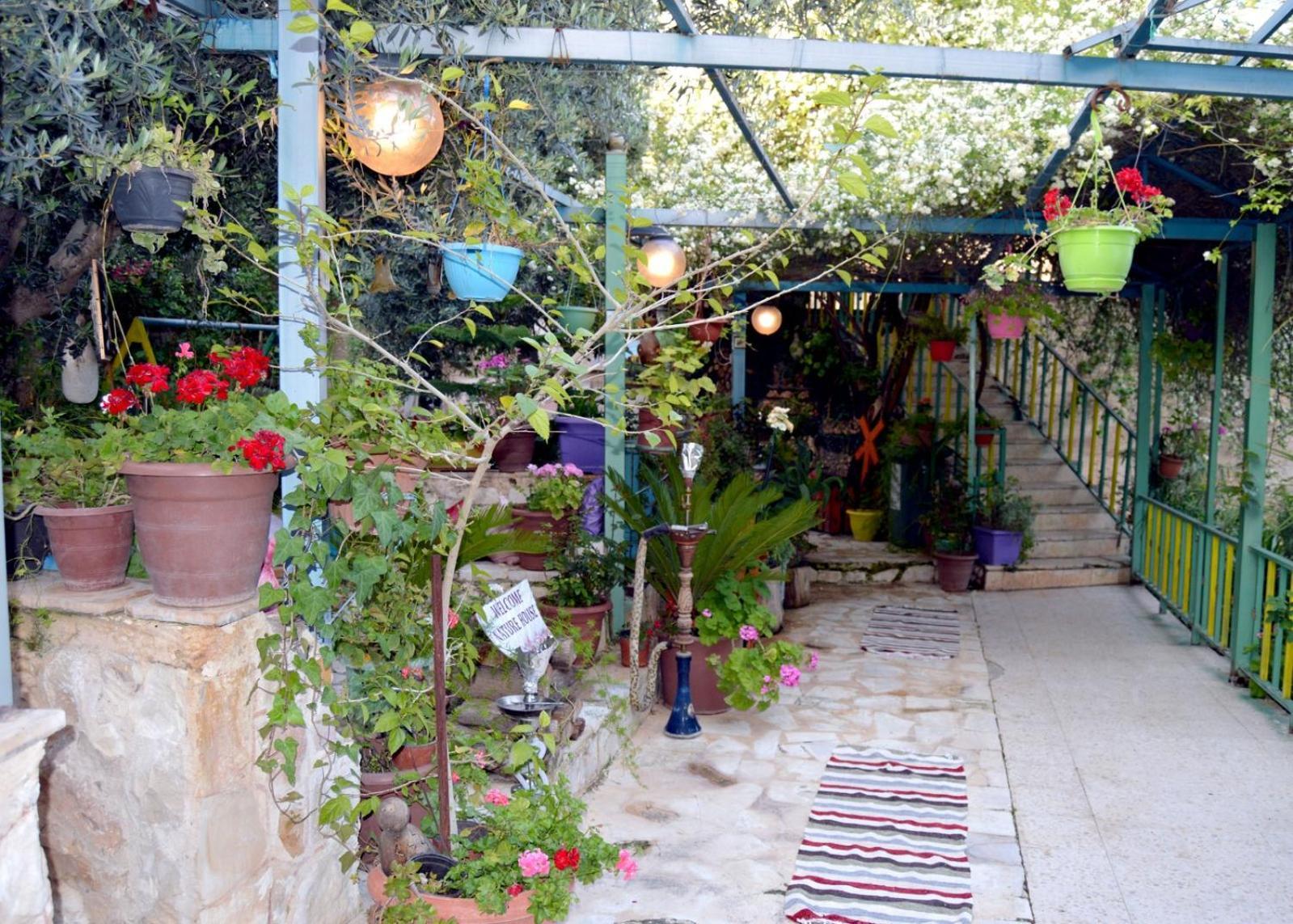 بيت الطبيعة Nature House Jarash Room photo